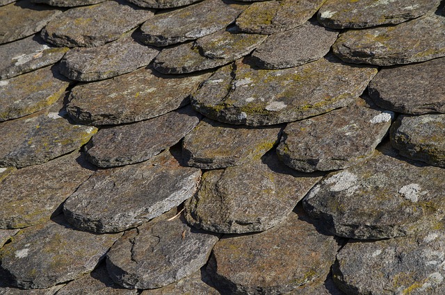 roof repairs - Cork Galway Limerick